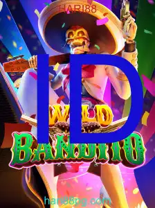 WildBandito